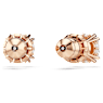 Orecchini a lobo Constella, Taglio Round, Bianchi, Placcato color oro rosa - Swarovski, 5638801