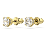 Constella Oorknopjes, Ronde slijpvorm, Wit, Goudkleurige toplaag - Swarovski, 5642595