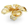 Idyllia Cocktailring, Blume, Gelb, Goldlegierungsschicht - Swarovski, 5650566
