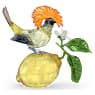 Idyllia Royal Flycatcher - Swarovski, 5651811