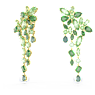 Gema ドロップピアス, ミックスカット, グリーン, ゴールドトーン・プレーティング - Swarovski, 5652801