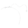 Mesmera set, Mixed cuts, White, Rhodium plated - Swarovski, 5665829
