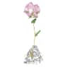 Florere Rosa - Swarovski, 5666973