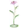 Florere Peony - Swarovski, 5668065