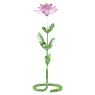 Florere Peony - Swarovski, 5668065