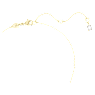 Obesek Dextera, Ujeta zanka, Bel, PVD zlatega odtenka - Swarovski, 5668820