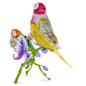 Idyllia SCS Annual Edition 2024 Gouldian Finches - Swarovski, 5670031