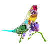 Idyllia SCS Annual Edition 2024 Gouldian Finches - Swarovski, 5670031