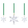Annual Edition Ornament Set 2024 - Swarovski, 5674317