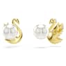 Swarovski Iconic Swan stud earrings, Crystal pearl, Swan, Red, Gold-tone plated - Swarovski, 5677597