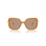 Lunettes de soleil, Oversize, Forme carrée, SK6011, Marron - Swarovski, 5679528