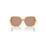 Lunettes de soleil, Oversize, Forme carrée, SK6011, Marron - Swarovski, 5679528