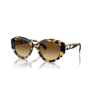 Gafas de sol, Forma de ojo de gato, SK6008, Marrones - Swarovski, 5679535