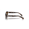 Sunglasses, Rectangular shape, SK6008, Brown - Swarovski, 5679536