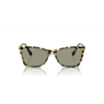 Sunglasses, Square shape, SK6004, Brown - Swarovski, 5679542