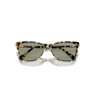 Sunglasses, Square shape, SK6004, Brown - Swarovski, 5679542
