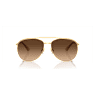 Sunglasses, Pilot shape, SK7005, Brown - Swarovski, 5679666
