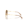 Sunglasses, Pilot shape, SK7005, Brown - Swarovski, 5679666