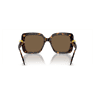 Sunglasses, Oversized, Square shape, SK6001, Brown - Swarovski, 5679904