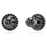 Swarovski Swan stud earrings, Crystal pearl, Swan, Gray, Ruthenium plated - Swarovski, 5680848