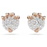 Dragon & Phoenix スタッドピアス, ドラゴンの爪, ホワイト, ローズゴールドトーン・プレーティング - Swarovski, 5681058