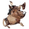 The Lion King Pumbaa - Swarovski, 5681582