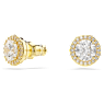 Una Angelic stud earrings, Round cut, Gold tone, Gold-tone plated - Swarovski, 5686637