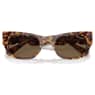 Sunglasses, Oval shape, SK6022, Brown - Swarovski, 5691701