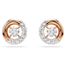 Dextera スタッドピアス, ラウンドカット, ホワイト, ローズゴールドトーン・プレーティング - Swarovski, 5692258