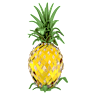 Idyllia Ananas - Swarovski, 5692580