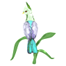 Idyllia Turaco Verde - Swarovski, 5693147