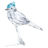 Feathered Beauties Blue Jay - Swarovski, 5705326