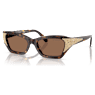 Sunglasses, Cat-eye shape, SK6029, Brown - Swarovski, 5706559