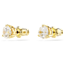 Solitaire Oorknopjes, Ronde slijpvorm, Wit, Goudkleurige toplaag - Swarovski, 5717575