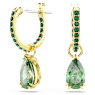 Attract Oorhangers, Pear-slijpvorm, Groen, Goudkleurige toplaag - Swarovski, 5723564