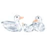 Ducks - Swarovski, 5723846