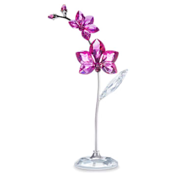 Sueños florales – Orquídea, grande - Swarovski, 5490755