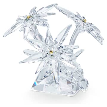 SCSエーデルワイス | Swarovski