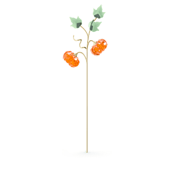 Garden Tales—南瓜 - Swarovski, 5586702