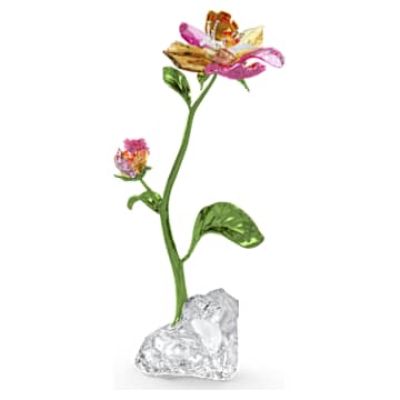 ✨美品✨SWAROVSKI クリスタルフラワー置物 4個セット SWAROVSKI（スワロフスキー） クリスタル 置物 花 Florere忘れな草