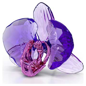 Idyllia SCS Annual Edition 2025 Seahorses | Swarovski