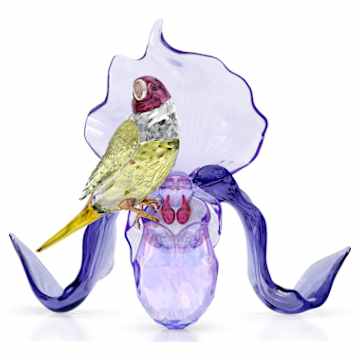 Lovebirds | Swarovski