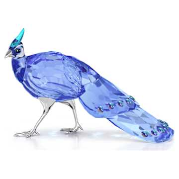 Jungle Beatsブルーのインコ Paco | Swarovski