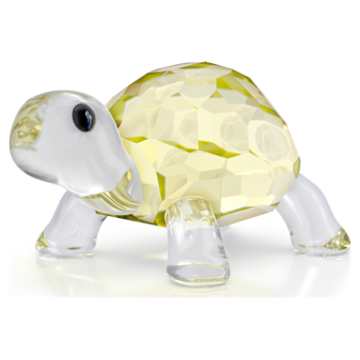 Peaceful Countryside Baby Tortoises | Swarovski