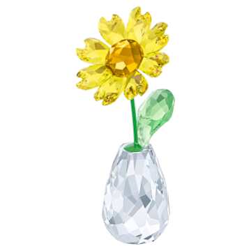 スワロフスキー SWAROVSKI Flower フラワー デイジー SWAROVSKI スワロフスキー Swarovski Flower Dreams Daisy