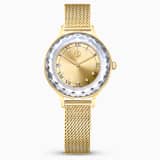 Gold, gold-tone pvd