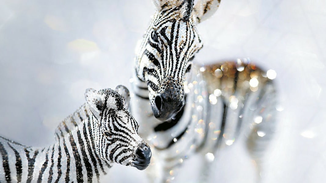 Scs Festival Livestream Swarovski