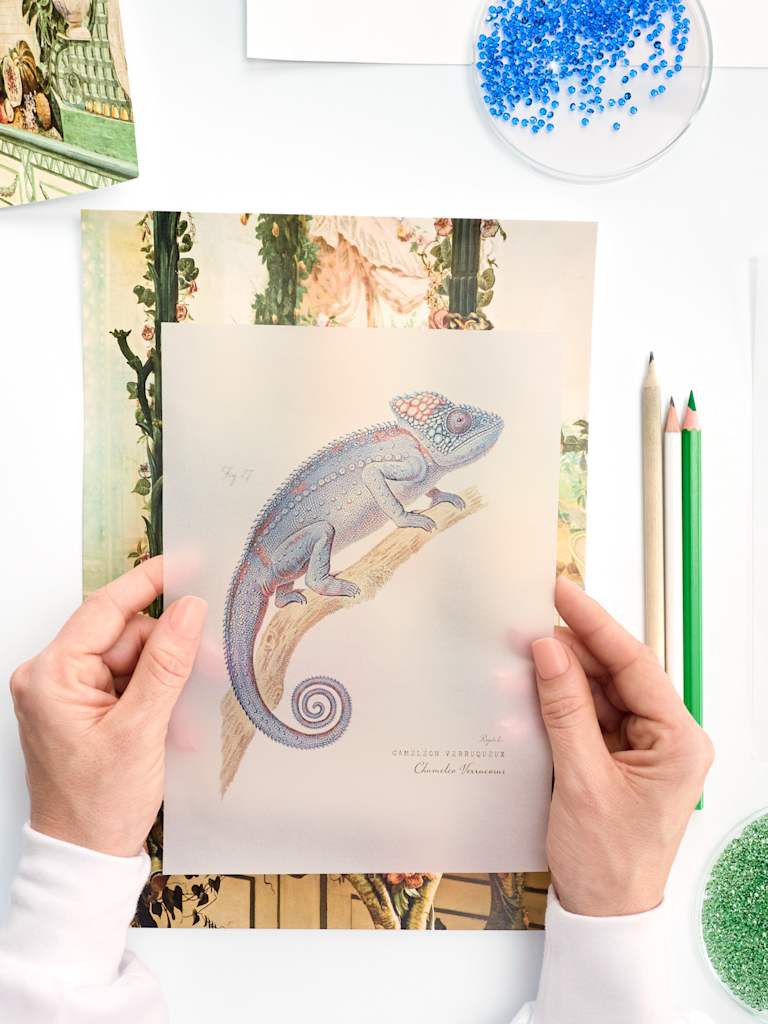【値下げアリ】SWAROVSKIクリスタルオブジェ Premium Swarovski Crystal Artwork Collection for Home & Gift Giving