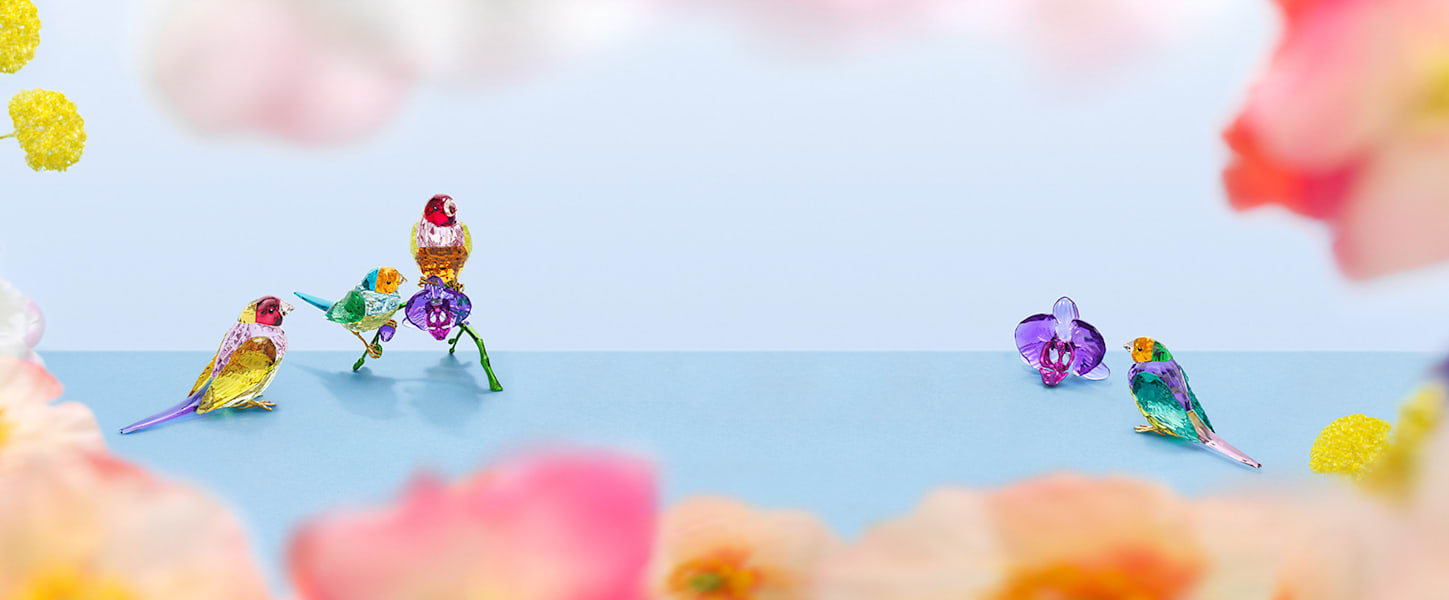 KiiiKiii イソル DANCINGALONE サノク スペシャル 限定 SCS 2024年度限定作品 Idyllia | Swarovski JP