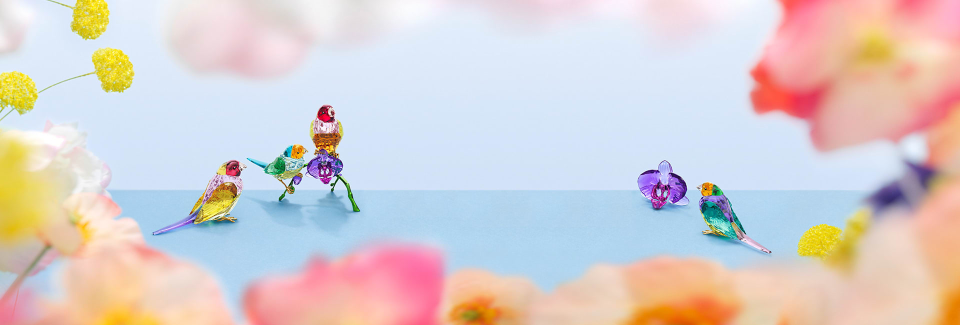 SCS 2024年度限定作品 Idyllia | Swarovski JP